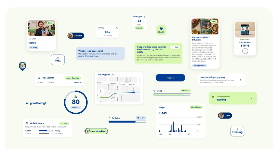 images pet metrics (2)